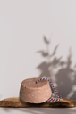 64242-gallery-Shampoing-solide-Cheveux-secs.png